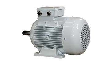 Luftgekühlte, explosionsgeschützte Motoren in erhöhter Sicherheit und Staubschutz Luftgekühlte, explosionsgeschützte Motoren in erhöhter Sicherheit und Staubschutz