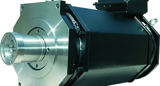 Spindelantrieb für die Präzisionsmaschinenindustrie 